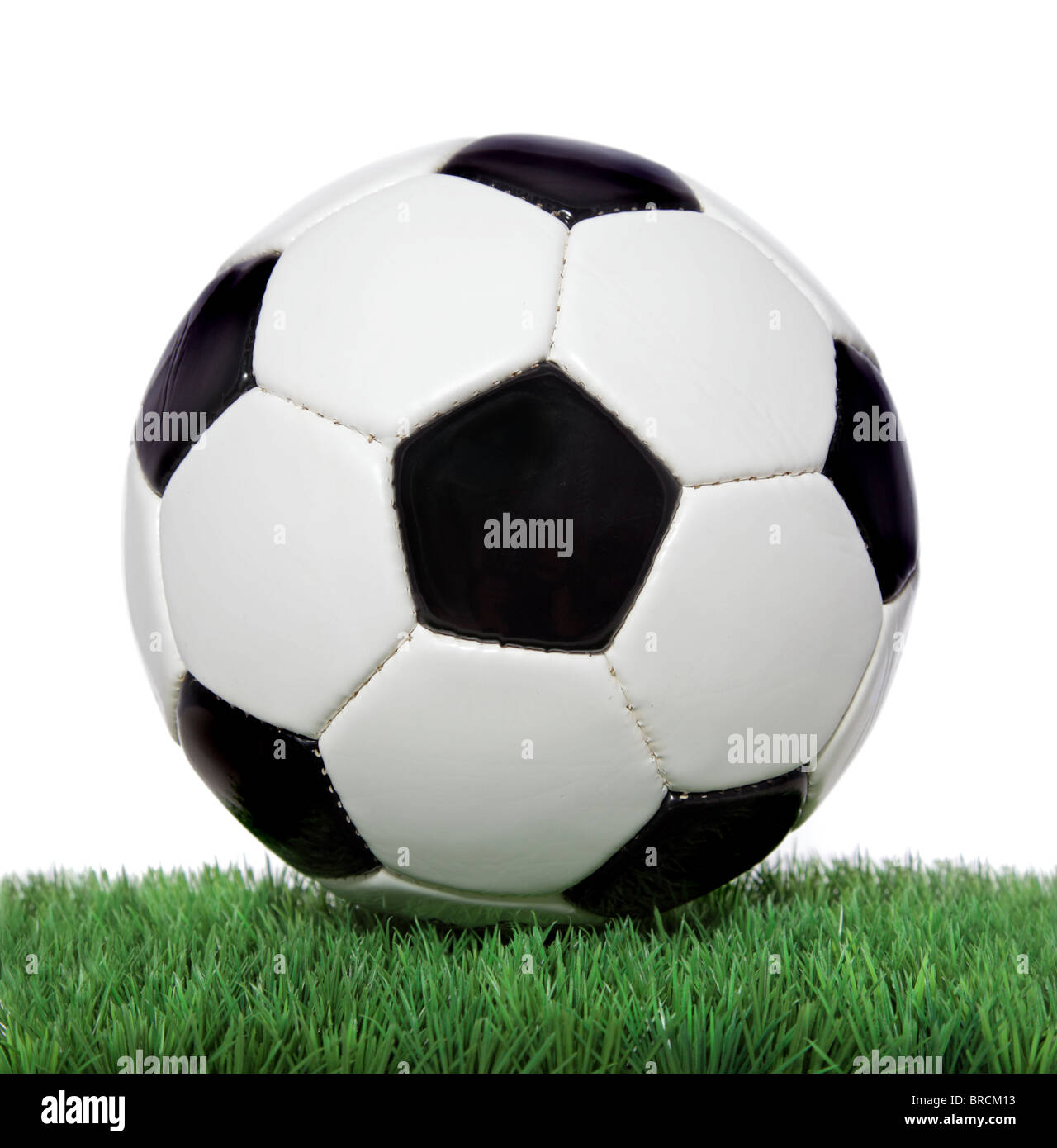 البرمجة كأس الولاية أكابر