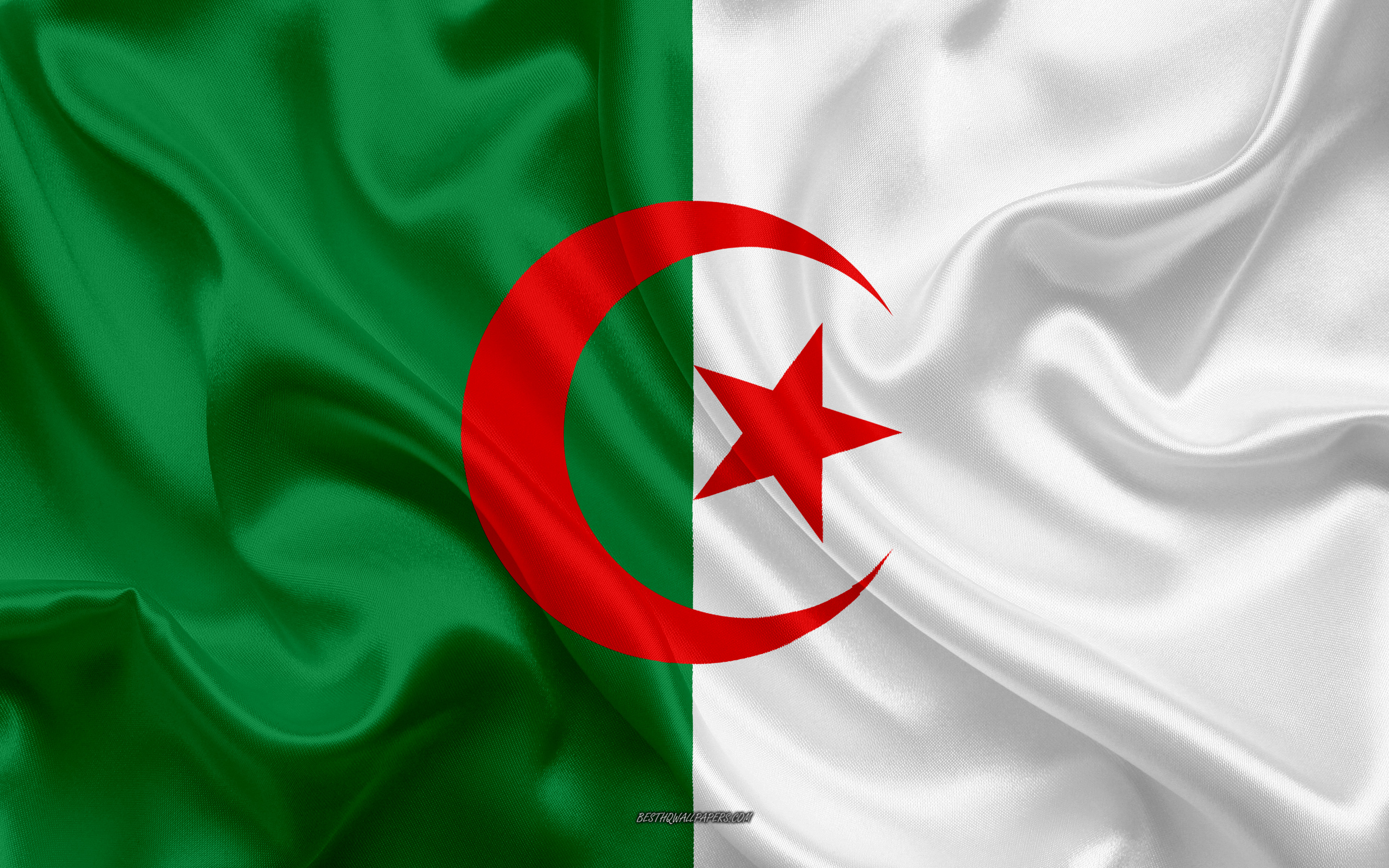  البرمجة الجولة الثانية والثالثة